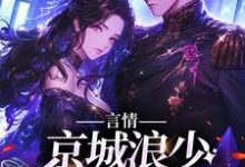 言情:京城浪少苦追妻最新章节,言情:京城浪少苦追妻免费阅读-红梅文学