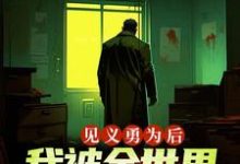 小说《见义勇为后,我被全世界嫌弃》在线章节阅读-红梅文学