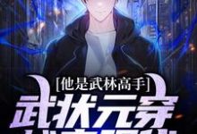 他是武林高手:武状元穿越来现代小说免费资源,他是武林高手:武状元穿越来现代在线阅读-红梅文学