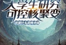 大学生研究可控核聚变?这是什么恐怖小说!(陆远)在线免费阅读-红梅文学