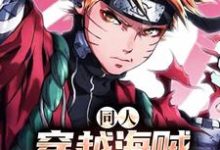 同人：穿越海贼，鸣人杀疯了火影海贼小说在线章节目录阅读最新章节-红梅文学