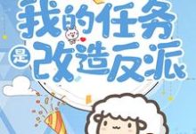 穿到六零：我的任务是改造反派小说完结版章节免费阅读-红梅文学