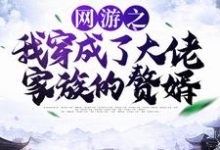 哪里可以免费读到林度宁风雅的完整故事?寻找网游之我穿成了大佬家族的赘婿-红梅文学