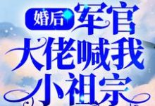 婚后,军官大佬喊我小祖宗小说,婚后,军官大佬喊我小祖宗盛晚烟顾廷枭-红梅文学