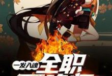 主人公叫叶佐乔达索洛伊的小说一发入魂:全职召唤师在线阅读章节-红梅文学