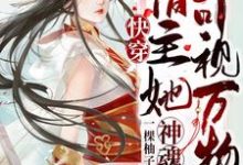 傅雅是哪本书的主角?寻找快穿:宿主她神魂可视万物免费阅读-红梅文学