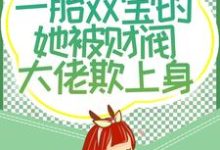 四年后,一胎双宝的她被财阀大佬欺上身小说,四年后,一胎双宝的她被财阀大佬欺上身唐亦琛林舒-红梅文学