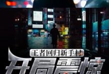 王者回归新手村,开局震惊网游界小说完结了吗?在哪里可以免费读到?-红梅文学