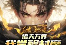 寻找诸天万界:我觉醒封魔卡师异能小说的最新更新章节-红梅文学