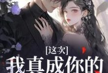 孟棠的完整故事在哪里?读这次,我真成你的白月光了小说-红梅文学
