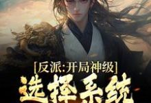 求反派:开局神级选择系统,我一路狂飙小说的全文免费阅读链接-红梅文学