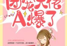 主人公阮宁柳澈小说农家傻女:团宠大佬A爆了在线章节阅读-红梅文学