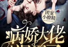 小说《团宠小撩精:病娇大佬飒爆了》在线章节阅读-红梅文学