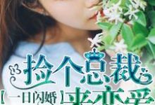 免费在线阅读一日闪婚:捡个总裁来恋爱小说的正规网站有哪些?-红梅文学