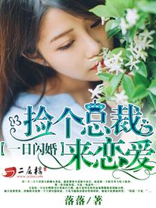 免费在线阅读一日闪婚：捡个总裁来恋爱小说的正规网站有哪些？