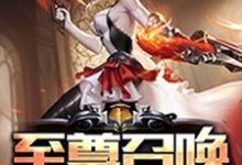在线搜索林小凡吕布貂蝉八神庵的完整小说,免费阅读至尊召唤系统-红梅文学