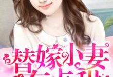 替嫁小妻有点甜温甜甜纪景琛纪与卿闵歆朵小说免费阅读-红梅文学