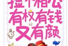 种田:捡个相公有权有钱又有颜小说全文阅读需要付费吗?寻找免费资源-红梅文学