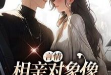 言情:相亲对象像死去的白月光佟苒李泊远,言情:相亲对象像死去的白月光章节在线阅读-红梅文学