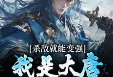 主人公叫九安的小说杀敌就能变强,我是大唐第一战神在线阅读章节-红梅文学