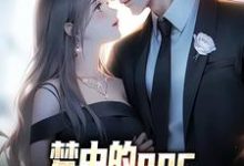 萧凡小说《梦中的npc成了现实里的女神》在线阅读-红梅文学