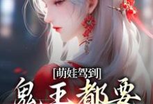苏萌萌苏宁小说《萌娃驾到,鬼王都要退避三舍》在线阅读-红梅文学
