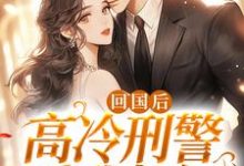 回国后,高冷刑警爱我如初小说全文哪里可以免费看?-红梅文学