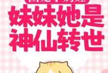 阿宝赵恒为主角的小说团宠小奶娃:妹妹她是神仙转世在线阅读-红梅文学