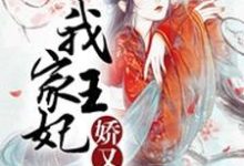 已完结小说《我家王妃娇又萌》章节免费阅读-红梅文学