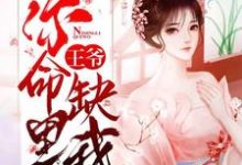《王爷,你命里缺我》小说章节在线试读,《王爷,你命里缺我》最新章节目录-红梅文学