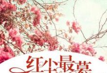 小说《红尘最慕是安年》在线章节阅读-红梅文学