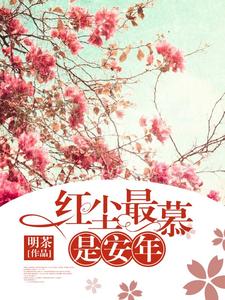 小说《红尘最慕是安年》在线章节阅读