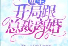 重生:开局跟总裁离婚这本小说怎么样?免费在线阅读试试-红梅文学