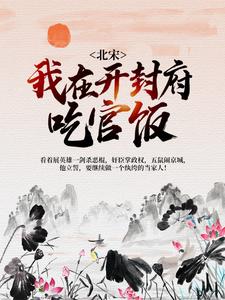 曹斌杜十娘为主角的小说好看吗？求北宋：我在开封府吃官饭免费试读