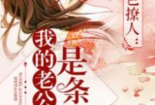我的老公是条蛇小说无弹窗阅读的网站推荐-红梅文学