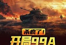 杀疯了!开局99A重坦驰骋中原小说有没有完结版在线?-红梅文学