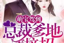 男女主人公叫洛小槡顾罗修的小说免费资源-红梅文学