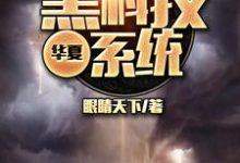 林炎林小蝶凌芸霜林逸小说叫什么(华夏黑科技系统免费阅读)-红梅文学