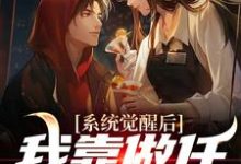完结版《系统觉醒后，我靠做任务换奖励》在线免费阅读-红梅文学
