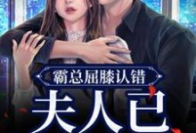 完结版《霸总屈膝认错,夫人已挫骨扬灰》在线免费阅读-红梅文学