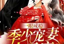 一眼成瘾:季少宠妻太无度最新章节,一眼成瘾:季少宠妻太无度免费阅读-红梅文学