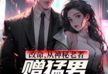 求李凌风小说免费资源-红梅文学