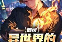 完结版《启灵:异世界的修仙指南》章节阅读-红梅文学