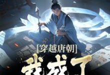 求穿越唐朝,我成了时代大佬小说免费资源-红梅文学