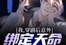 哪里能找到我,穿剧后意外绑定天命反派系统小说的全部章节?-红梅文学