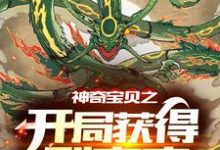 神奇宝贝之开局获得裂空座小说的无弹窗阅读体验,寻找免费阅读网站-红梅文学