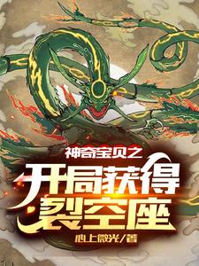 神奇宝贝之开局获得裂空座小说的无弹窗阅读体验，寻找免费阅读网站