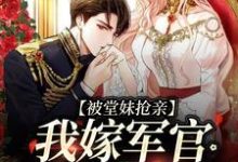 求被堂妹抢亲,我嫁军官躺赢了小说免费资源-红梅文学