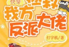 落渺墨云流小说叫什么(快穿:保护我方反派大佬免费阅读)-红梅文学