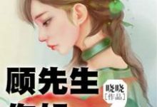 主人公沈依依顾离小说顾先生,你好在线章节阅读-红梅文学